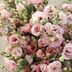 Pink Lisianthus